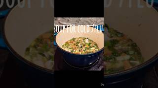 CHICKEN SOUP FOR COLD AND FLU chickensoup soupforthesoul soupforkids chickensouprecipe [upl. by Norraf855]