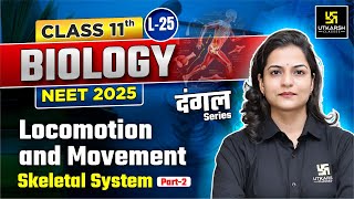 Class 11 Biology  Locomotion and Movement  Skeletal System P2 NEET 2025  L25  Dr Ronak Maam [upl. by Akirej32]