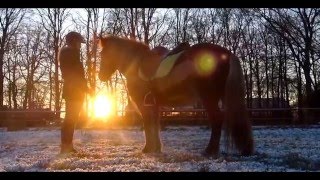 Heroes of our time Icelandic Horse  YouTuber [upl. by Silin]