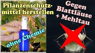 Natürlicher Bio Pflanzenschutz gegen Blattläuse amp Mehltau ohne Chemie selbst herstellen Schädlinge [upl. by Zoe]