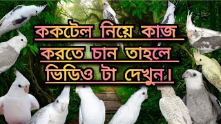 ককটেল নিয়ে কাজ করতে চান তাহলে ভিডিও টা দেখুন।🙏🙏🙏 [upl. by Lhok403]