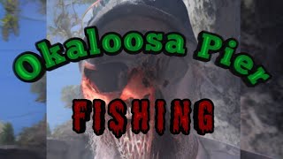 Okaloosa Pier Fishing in Destin Florida ft SCUMDOGFISHING [upl. by Lotta960]