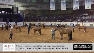 AQHA World Show Spotlight November 18 2022 [upl. by Ragg]