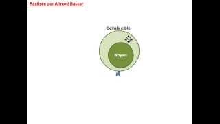 La phase effectrice dans le cas dune RIMC [upl. by Wadlinger]