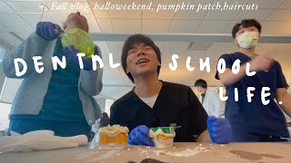 life in dental school vlog  bad haircut  dressing up for halloween  messy pumpkin patch trip [upl. by Hube]