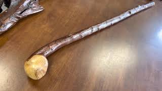 Rare Blackthorn Shillelagh Walking Stick made By Francis McCaffrey [upl. by Suoivatnom]