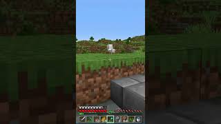 Miracle Chicken minecraft [upl. by Tamanaha]