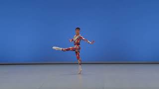 João Pedro DOS SANTOS SILVA 201 – Prix de Lausanne 2024 – Classical [upl. by Kcirdla]