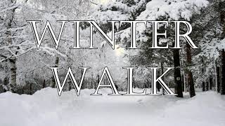 Winter Walk Lyric Video [upl. by Odlaumor728]