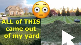 How to Dethatch a Lawn a Different Way [upl. by Fawne]