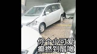 澳门七人車倒后加油撞入地鋪不知道以为在拍动作片惊险刺激 粤语 这谁能顶得住啊 奇葩 搞笑 爆笑 [upl. by Latsirhc]