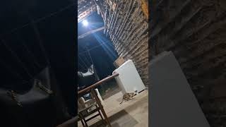 Apareceu um gato selvagem aqui em casa vidanaroça ⁰ [upl. by Haliak391]