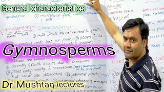 Gymnosperms Characteristics  Dr Mushtaq lectures  Class 11 [upl. by Ydneh]