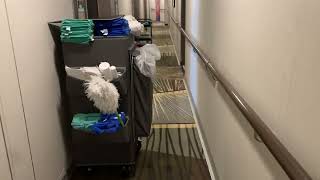 Royal Caribbean Ovation of the Seas New Stateroom Attendant Trolley  Cart [upl. by Maxima]