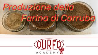 DURFO ACADEMY  Come si Produce la Farina di Carruba Un Processo Tradizionale FarinaDiCarruba [upl. by Toll]