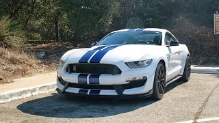 Canyon Climb Challenge Shelby GT350 vs Running [upl. by Douty969]