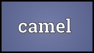 Camel Meaning [upl. by Adalheid]