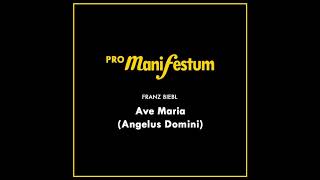 Franz Biebl Ave Maria Angelus Domini [upl. by Seyer254]