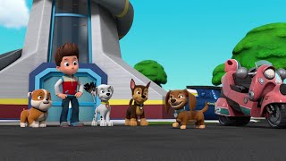 Hey Liberty  Paw Patrol [upl. by Jamin]