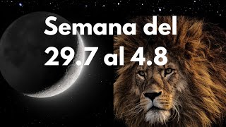 Deseos Revelados Luna Nueva en LEO Significado [upl. by Cai113]