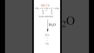 Hydrolysis of Acetic anhydride Reaction  Preparation of Acetic acid  Carboxylic acid  cbse [upl. by Sumer]