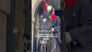 The Blues and Royals highlights history tourist london horse travel [upl. by Arrimat553]