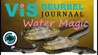 Visdeurbel Journaal  Week 14 Water Magic Molluscs amp many eel [upl. by Konstantine]