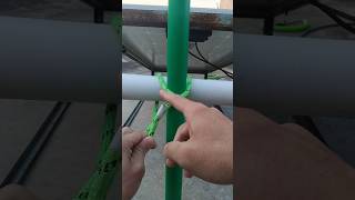 How to tie clove hitch knot shortshortvideo [upl. by Otilegna]