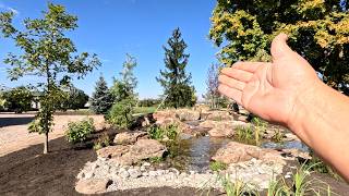 Installing the Centerpiece Evergreen Behind the New Waterfall  Other Planting Projects 🌲😍🌲 [upl. by Alley]