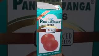 Best onion seed🧅 Panchaganga seed Rythunestham 🌱 [upl. by Annail]