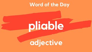 Word of the Day  PLIABLE What does PLIABLE mean [upl. by Retsbew]