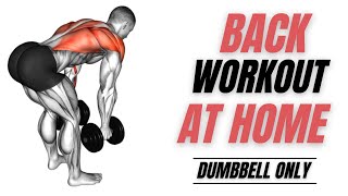 Back Workout at Home With Dumbbells [upl. by Elinad]