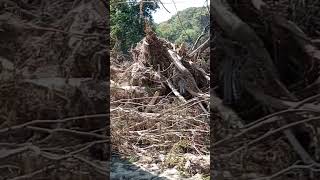 More of the flood damage on the Nolichucky River [upl. by Wimsatt]