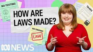 How are laws made  Politics Explained Easily  ABC News [upl. by Suertemed37]