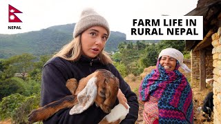 72 hours Farmers Life in Rural Nepal 🇳🇵 [upl. by Alderson]