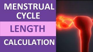 Menstrual Cycle Calendar Calculation Explained  Period Cycle Length Counting [upl. by Bogey]