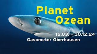 quotPlanet Ozeanquot Ausstellungstrailer [upl. by Mari]