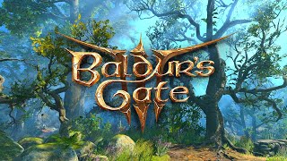 Baldurs Gate 3  Relaxing Forest Ambience  Inofficial Music [upl. by Yartnod]