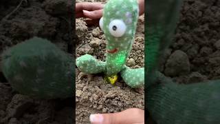 Cactus🌵me dost🥲ko kya ho gaya🥲🥹🤨shortsvideo [upl. by Howes]