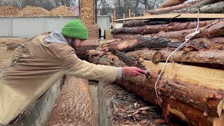 From Logs to Chips A Masterclass in Woodworking [upl. by Carlynn]