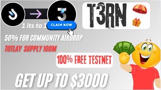 Earn Up to 300 in T3RN Airdrop 🌟  Complete Testnet Guide for 2024 🚀 [upl. by Adnoek]