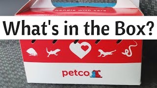 Bearded Dragon Owners  Whats in This PetCo Box 4K [upl. by Rico]