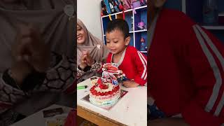 Mini vlog birthday kallos 4yearsold happybirthday birthday birthdaycelebration [upl. by Eciuqram]