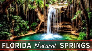 Explore Florida Natural Springs Top 10 MustVisit Springs in Florida [upl. by Dido]