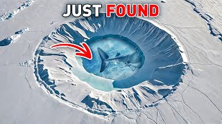 A Megalodonlike creature was found in the Antarctic ice – is it dangerous  Science documentary [upl. by Ashraf]