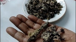 Pathar ka phool Spice Dagad phool Kalpasi uses and benefits Chharila [upl. by Healion456]