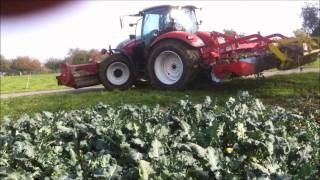 Scheibeneggen mit Steyr Profi 4120 und Pöttinger Terradisc 3000 [upl. by Eulalee]