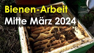 BienenArbeit Mitte März 2024 Erweitern Einengen Leerzargen [upl. by Lowell]