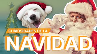 20 Curiosidades de la Navidad 🎅🏻  Una fiesta muy sorprendente [upl. by Ferrick]