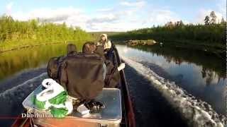 Fishing in the river Karasjohka summer 2012 Fisketur i elven Karasjohka sommeren 2012 [upl. by Alyaj677]